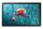 Samsung QB13C 33 cm (13") LCD WLAN 500 cd/m² Full HD Schwarz 16/7