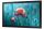Samsung QB13C 33 cm (13") LCD WLAN 500 cd/m² Full HD Schwarz 16/7