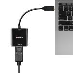 Lindy 43269 USB-Grafikadapter 3840 x 2160 Pixel Schwarz