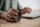 BakkerElkhuizen Evoluent D Small Wireless