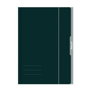 Pelikan 276856 Sammelmappe Karton Grün A3