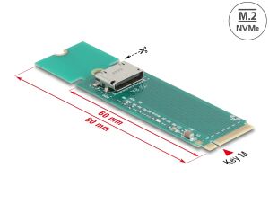 DELOCK Konverter M.2 Key M > 1x OCuLink SFF-861