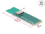 DELOCK Konverter M.2 Key M > 1x OCuLink SFF-861