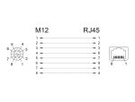 DELOCK Netzwerkadapter M12 8 Pin X-kodiert Bu > RJ45 Bu