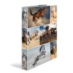HERMA 19360 Ringmappe A4 Mehrfarbig