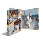 HERMA 19360 Ringmappe A4 Mehrfarbig
