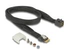 DELOCK U.2 SFF-8654 oder SATA Konverter zu 1xM.2 Key M Slot