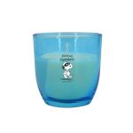 Peanuts Thekendisplay 25 x 100g