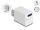 DELOCK WLAN EASY-USB Smart Schalter MQTT