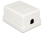 DELOCK Netzwerk Dose RJ45 Buchse Cat6 ungeschirmt