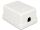 DELOCK Netzwerk Dose RJ45 Buchse Cat6 ungeschirmt