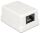 DELOCK Netzwerk Dose RJ45 Buchse Cat6 ungeschirmt