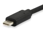 Equip USB-C auf DisPlayPort Kabel Stecker auf Stecker, 1.8m