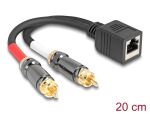 DELOCK Adapter RJ45 Buchse < 2 x Cinch Stecker schwarz...