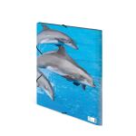HERMA 7146 Sammelmappe Polypropylen (PP) Blau, Grau A3