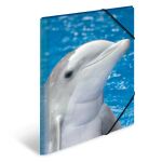 HERMA 7146 Sammelmappe Polypropylen (PP) Blau, Grau A3