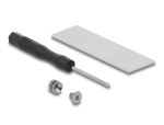 DELOCK PCI Express x1 zu M.2 Key M Adapter
