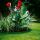 Gardena Raseneinfassung grün Rolle 20 cm hoch 9 m lang