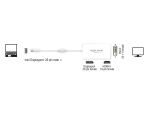 DeLOCK 61768 Videokabel-Adapter 0,24 m Mini DisplayPort DisplayPort + DVI + HDMI Weiß