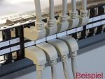 DELOCK Patchkabel gewinkelt RJ45 S/STP Cat6A 1.00m grau