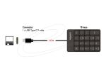 DELOCK USB Type-C Nummernblock 19 Tasten schwarz