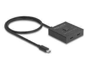 DeLOCK USB 10 Gbps USB Type-C Switch 2 auf 1 bidirektional 8K