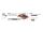 PCI Expr Card Delock 3x USB3.0 ext + 1x RJ45 LowProfile