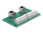 DeLOCK RJ50 2 x Buchse zu 2 x Terminalblock mit Drucktaster für Hutschiene gewinkelt