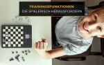 Millennium Schachcomputer Chess Champion 2.0