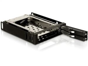 DeLOCK 3.5" Mobile Rack Schwarz