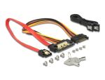 DELOCK Wechselrahmen 1x2,5" SATA/SAS HDD/SSD in 3,5"