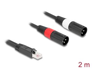 DELOCK Adapterkabel RJ45 St > 2x XLR 3 Pin St schwarz 2m