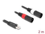 DELOCK Adapterkabel RJ45 St > 2x XLR 3 Pin St schwarz 2m