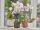 Gardena 11110-20 Handsprüher 0,75 l Schwarz