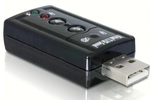 DeLOCK 61645 Kabeladapter USB 2.0 2x 3,5 Schwarz