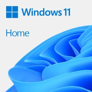 Microsoft Windows 11 Home 1 Lizenz(en)