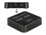DeLOCK M.2 Dockingstation für 2 x M.2 SATA SSD mit Klon Funktion