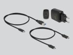 DeLOCK M.2 Dockingstation für 2 x M.2 SATA SSD mit Klon Funktion