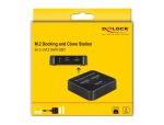 DeLOCK M.2 Dockingstation für 2 x M.2 SATA SSD mit Klon Funktion