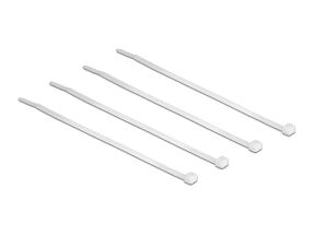 DeLOCK 18605 Kabelbinder Nylon 100 Stück(e)