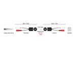 DeLOCK Stereo Audio Extender RJ45 Buchse zu 2 x Cinch Stecker Cat.5 bis 50 m Set 2 Stück