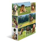 HERMA Motiv-Ordner A4 Animals Pferdewiese