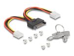 DELOCK 3.5 Wechselrahmen für 2 x M.2 NVMe SSD Slim SFF-8654