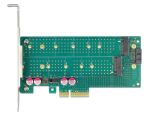 DeLOCK PCI Express x4 Karte zu 1 x M.2 Key B + 1 x NVMe M.2 Key M - Low Profile Formfaktor