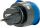 Schwaiger SOAW0044 Steckdose Blau, Grau