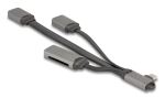 DeLOCK 64303 Schnittstellen-Hub USB 3.2 Gen 1 (3.1 Gen 1) Type-C 5000 Mbit/s Grau