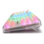 Sharkoon 4044951040131 Tastatur Gaming USB QWERTZ Deutsch Weiß