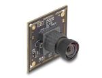 DELOCK USB 2.0 Kameramodul IMX462 Sony Starvis 81°V6Fixfokus