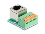 DeLOCK 90653 Kabeladapter RJ45 8 pin terminal block Grün, Silber