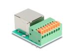 DeLOCK 90652 Kabeladapter RJ45 8 pin terminal block Grün, Silber